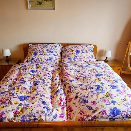 Karol Quarto em Acomodações Particulares Male Chlievany