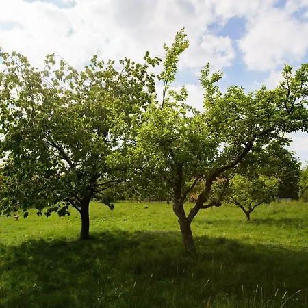 Karol Quarto em Acomodações Particulares *