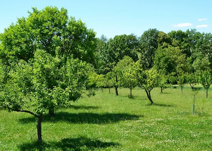 Karol Δωμάτια σε οικογενειακή κατοικία
